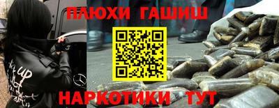 сатива Коммунар